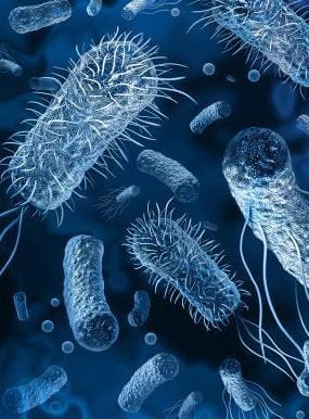 Ikaria Lean Belly Juice - Does It Really Work For Weight Loss?